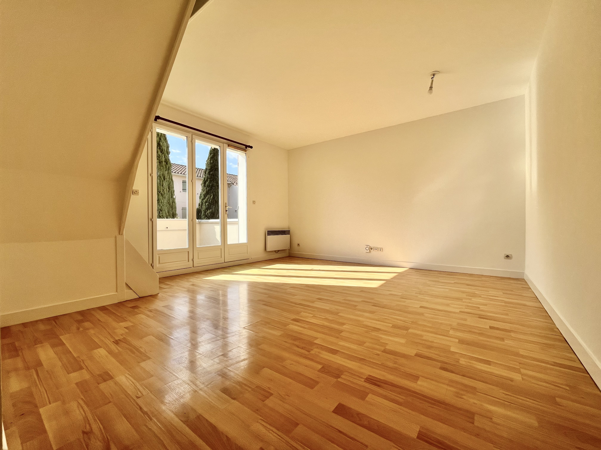 photo_4b8011581de44a25239cb6e2dccd2fce