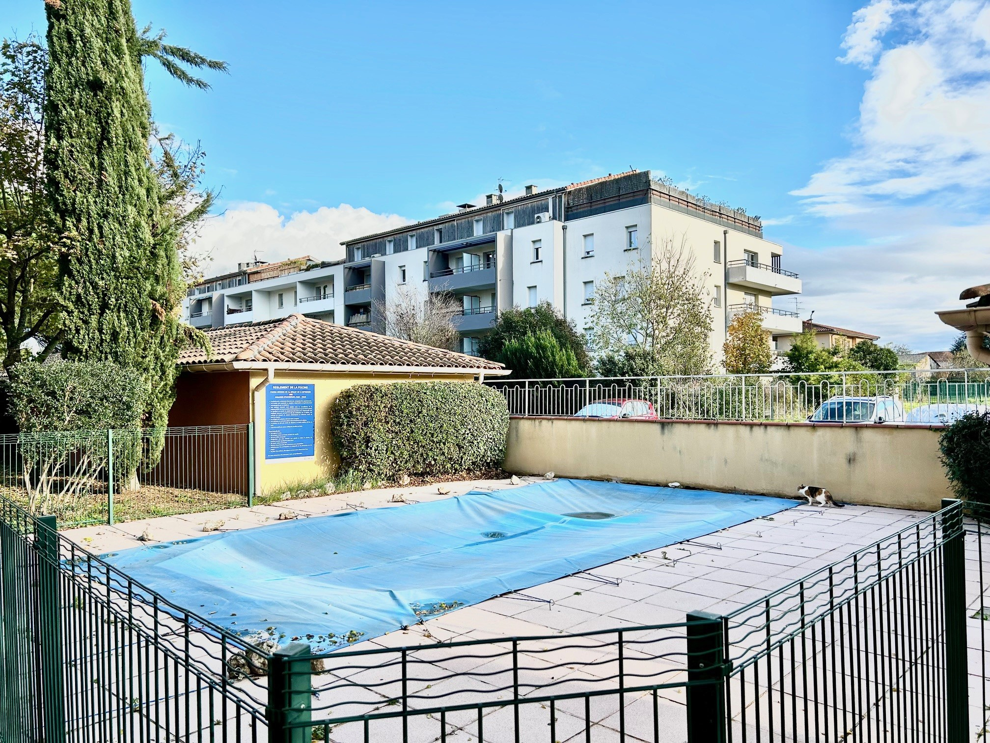 photo_89cedc637cd7db3a93b9c0bc081891e2