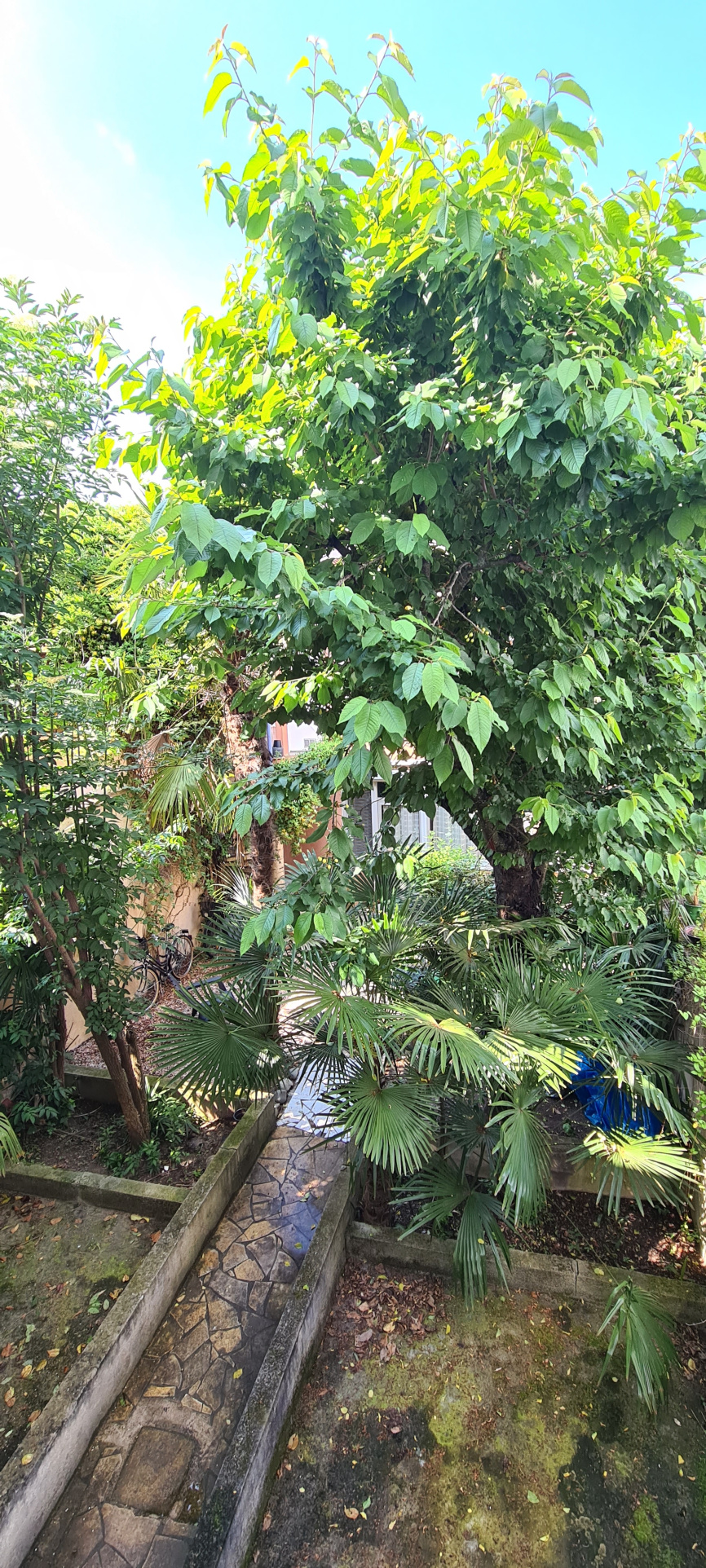 photo_464847185783db29b0e2292c0437635e