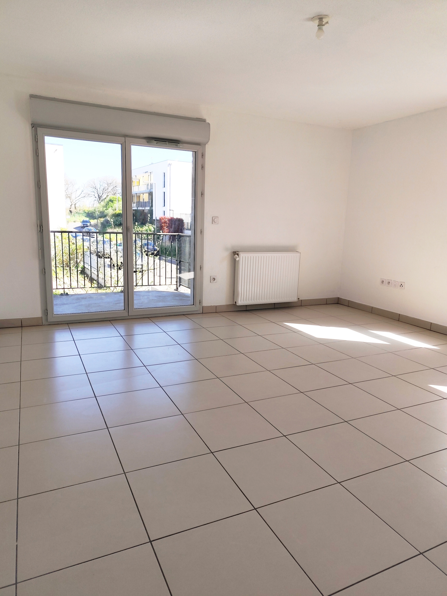 photo_c39179c59c20d66b9d5c3c9d8f83c36a