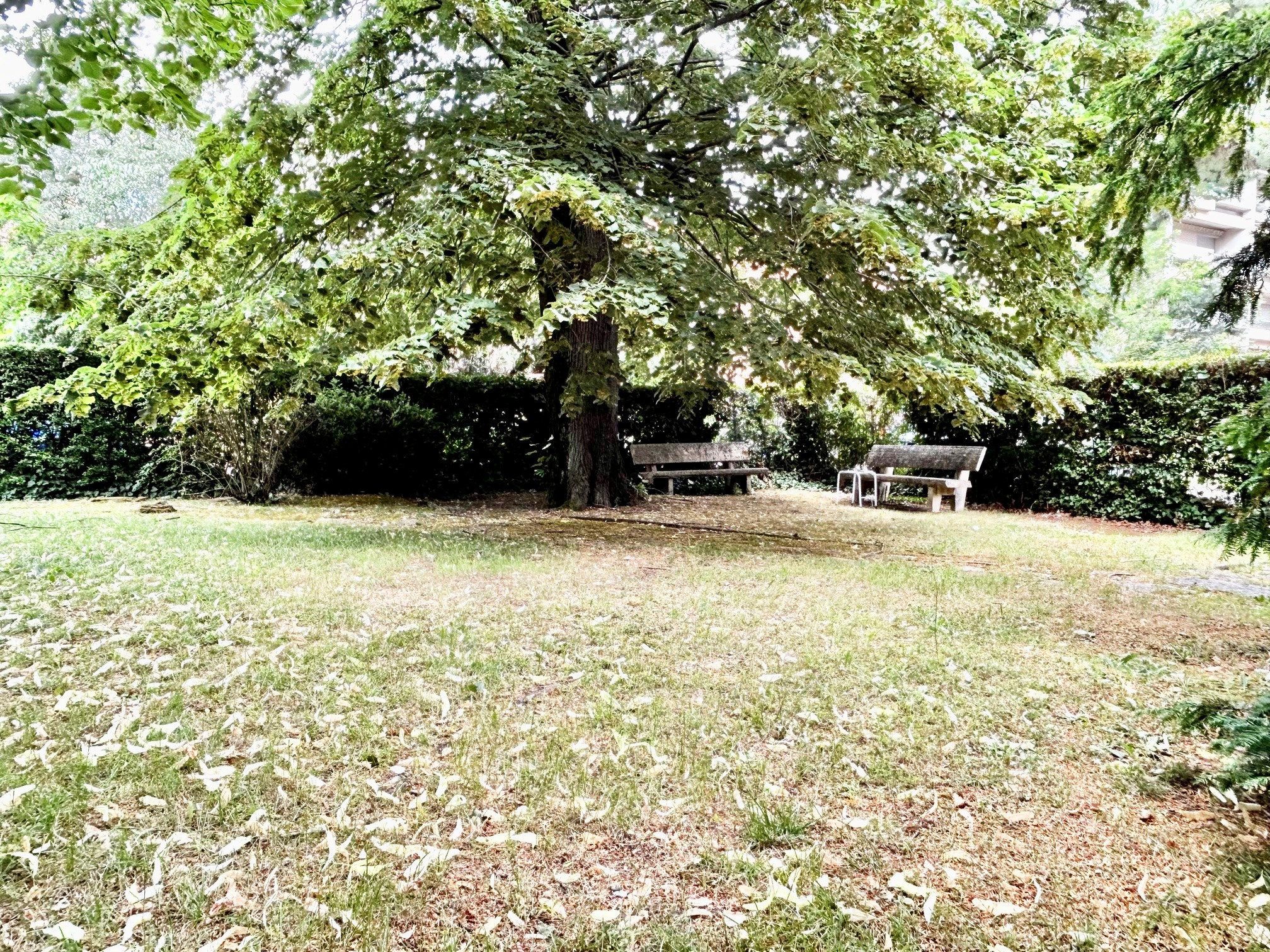 photo_cc5a610f7a6094f9dc5726b04ec32dde